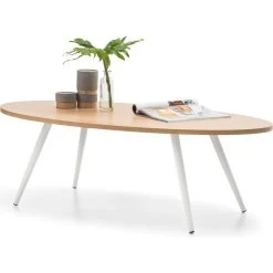 Dizzy Oval Veneer & Steel Coffee Table White 1.2m