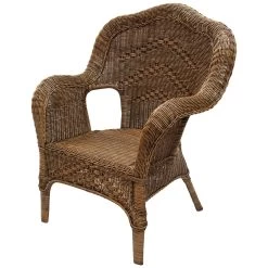 Windsor Cane/Rattan Armchair In Antique Brown